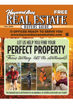 issue-2-2020-fall